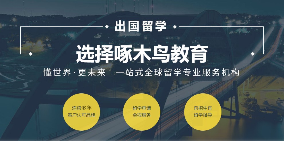 全新推荐十大专做美国留学的中介机构排名名单汇总.jpg