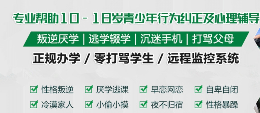 叛逆戒网瘾