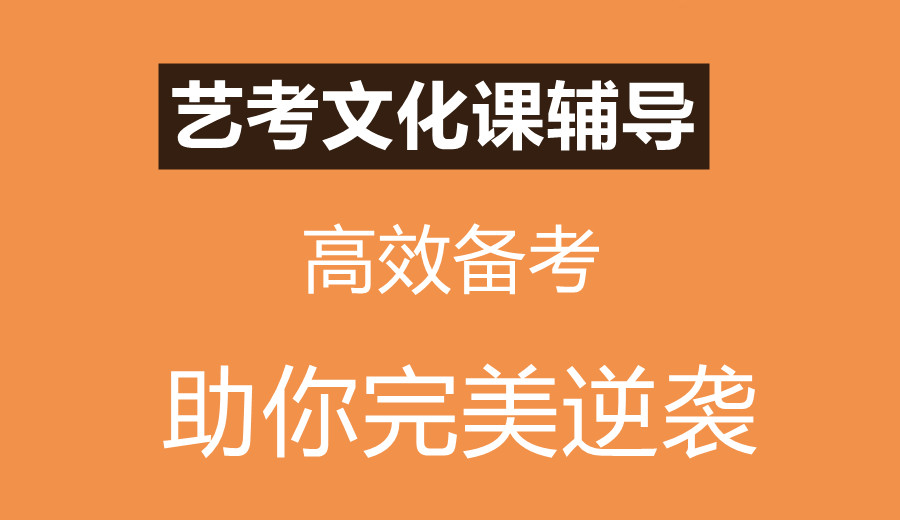 高三艺考文化课集训机构