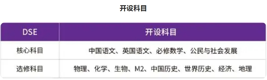 深圳富源英美国际学校DSE班2025招生简章一览