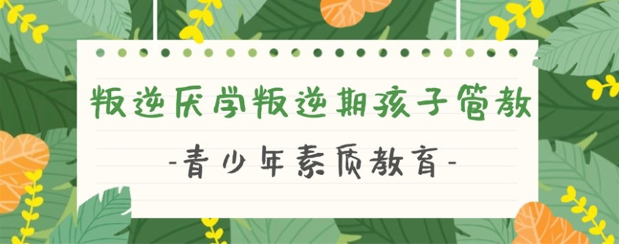 排名好的德阳全封闭叛逆孩子改造学校2025排行榜top10