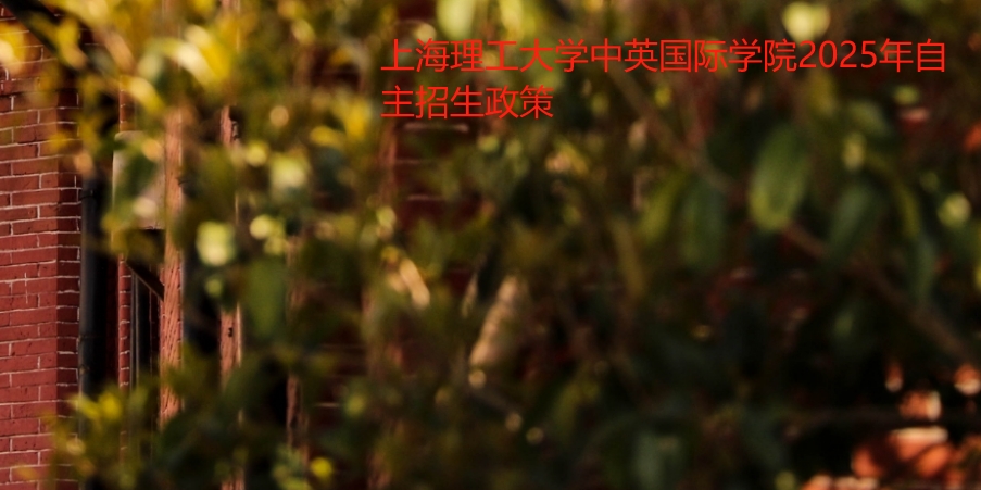 上海理工大学中英国际学院自主招生政策