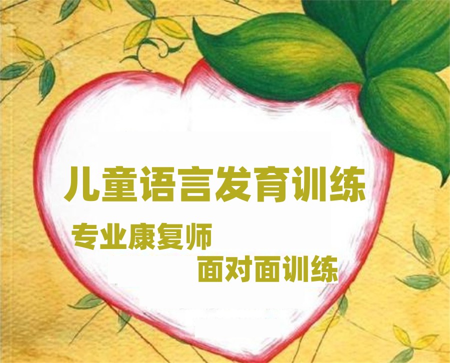儿童语言康复