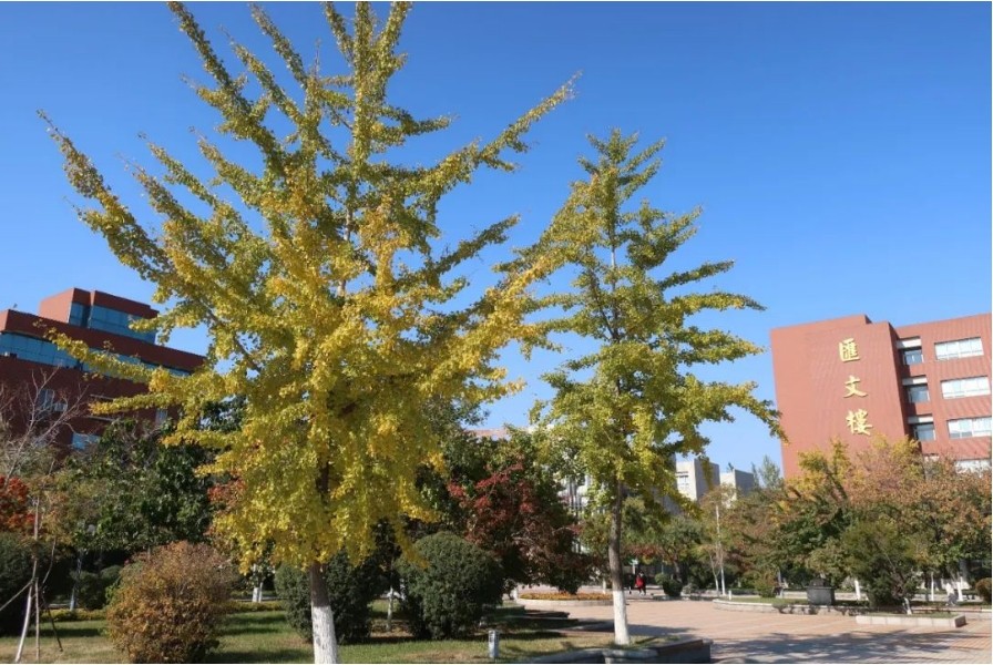 一览沈阳师范大学4+0招生简章