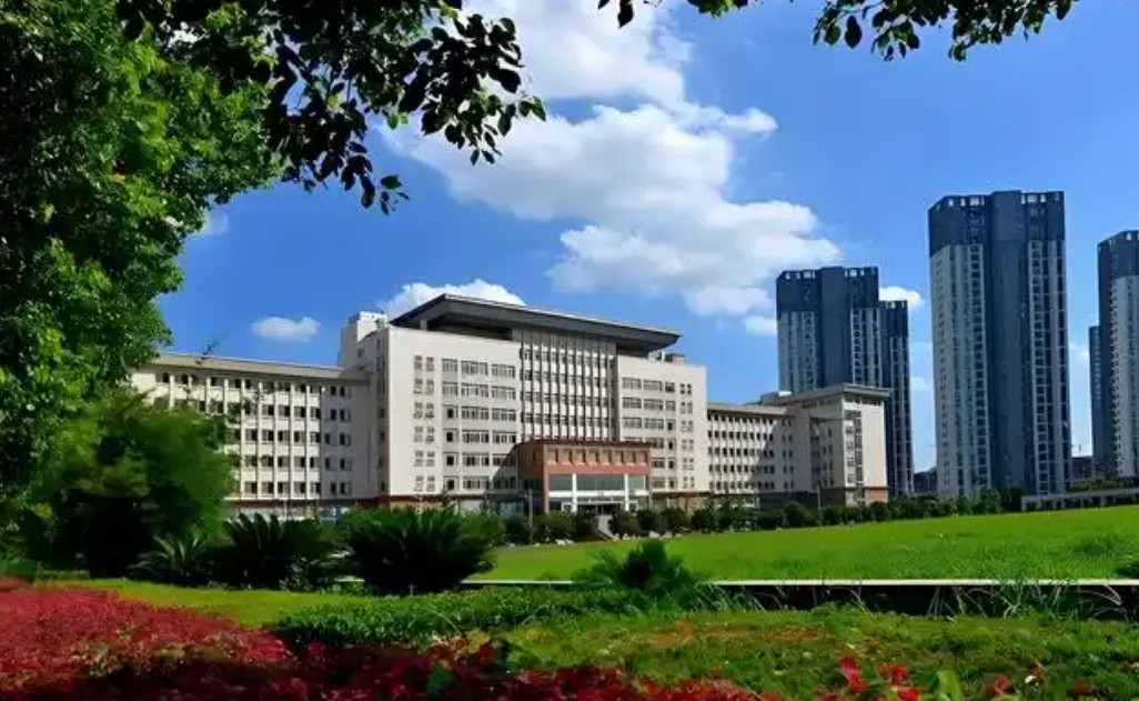 2025年武汉理工大学中外合作办学4+0项目怎么样