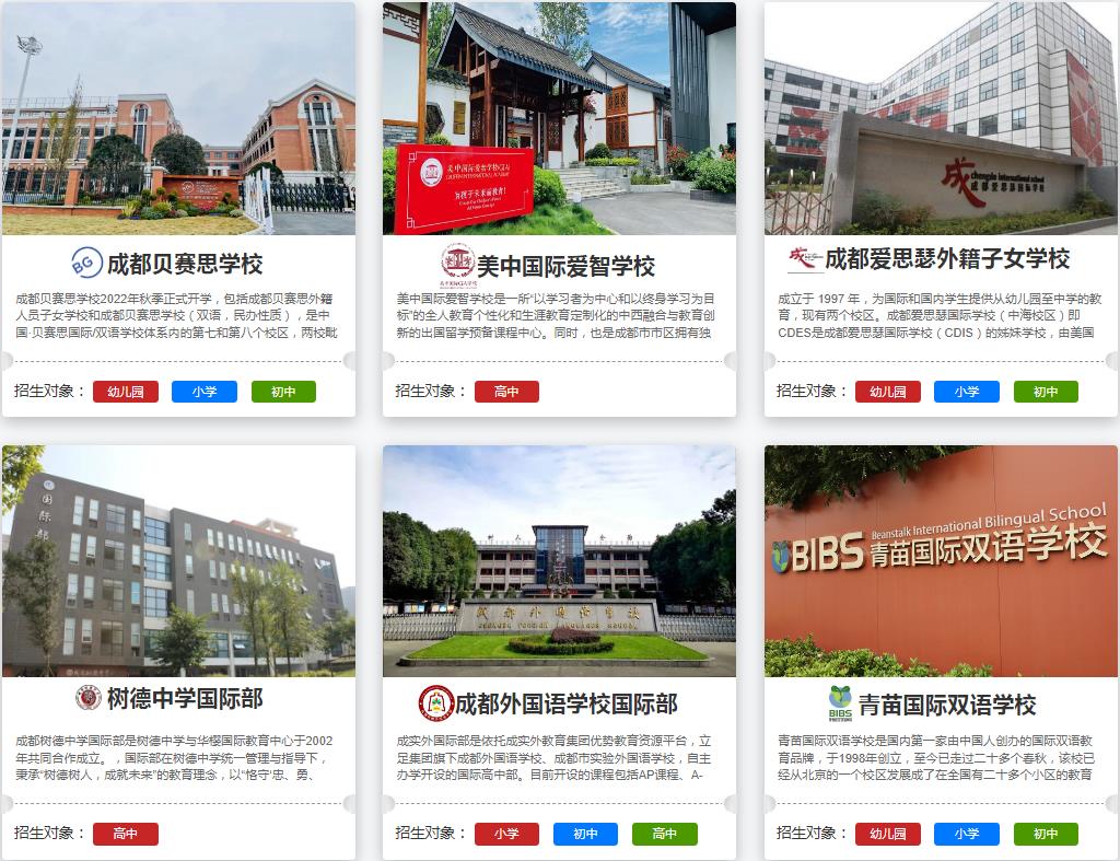 2025正规国际学校择校机构排名名单前十