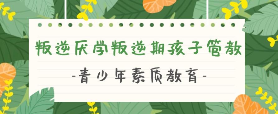 2025总结十大叛逆期学生行为矫正学校排名及收费介绍一览.jpg