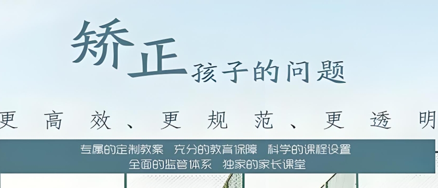 叛逆期网瘾管教