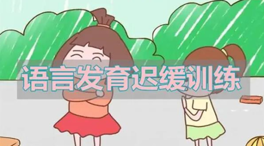 上海汇总十大儿童语言迟缓康复训练机构推荐