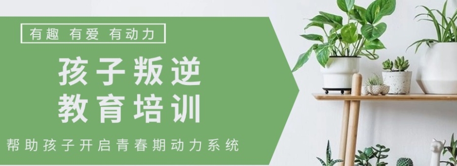 全封闭叛逆基地 全封闭叛逆基地
