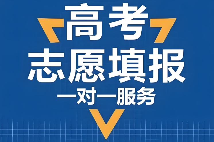 2025年6月份南京热门高考志愿填报机构top5排名介绍