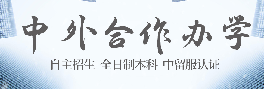 2025年四川中外合作办学4+0国际本科规划机构TOP10一览表