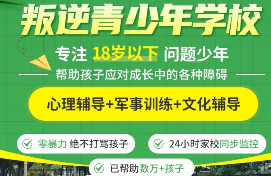 叛逆少年矫正