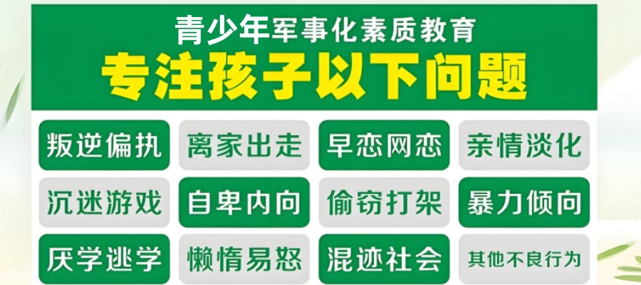 青少年素质教育