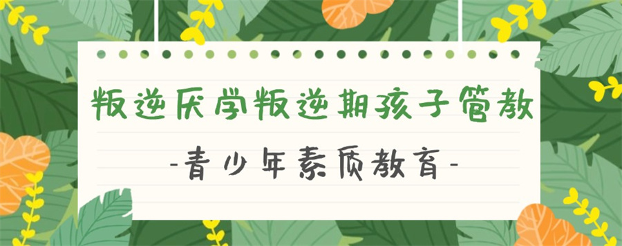 江苏叛逆学校