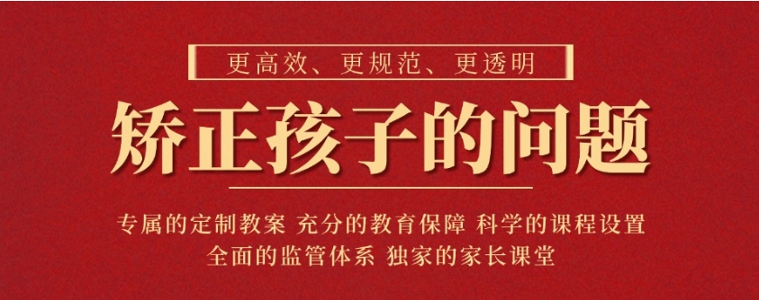 叛逆网瘾少年全封闭特训