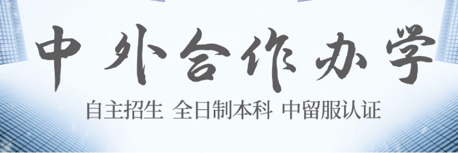 武汉理工大学3+1国际本科项目2025年招生简章一览