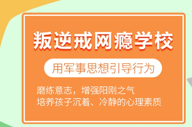 叛逆戒网瘾