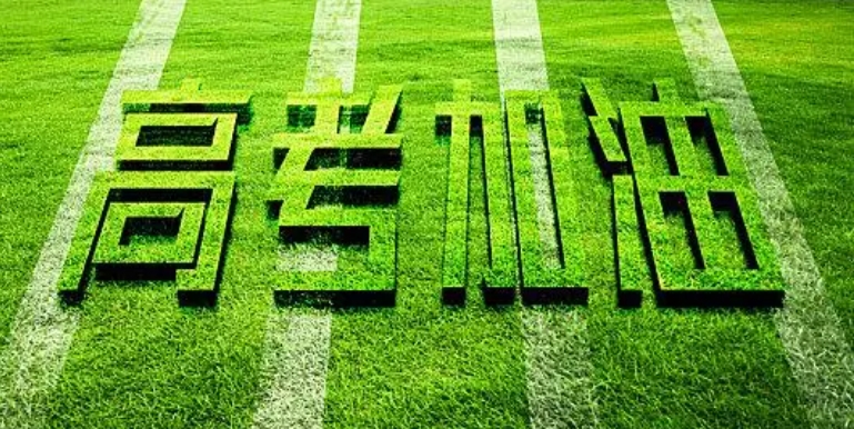 上海普陀区艺考生文化课集训营