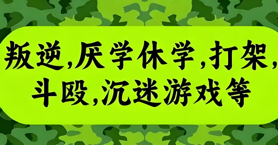 叛逆矫正