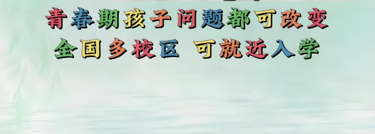 叛逆矫正