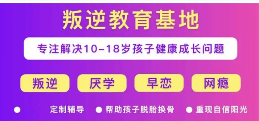 叛逆期孩子的学校新实力排名
