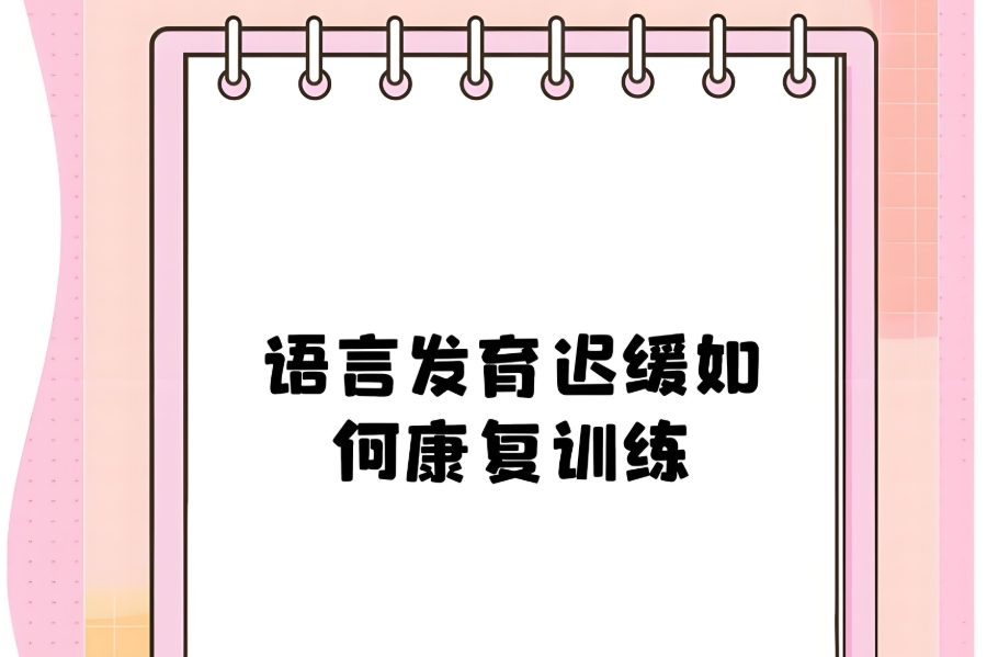 儿童语言发育迟缓康复训练机构