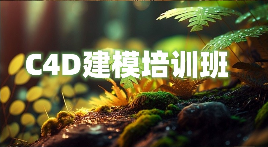 C4D建模培训