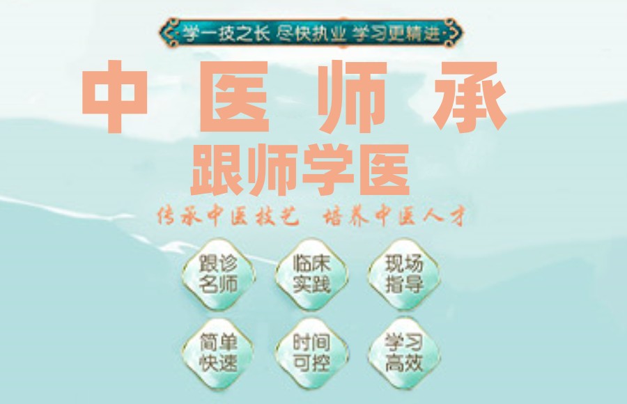 中医师承培训 中医师承培训
