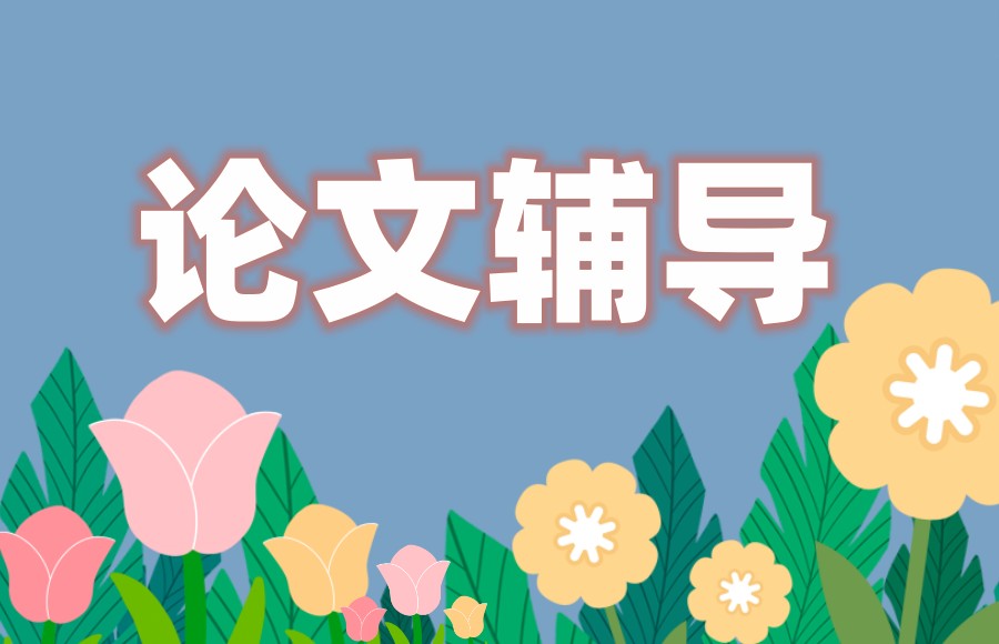 论文(博士)写作指导中介