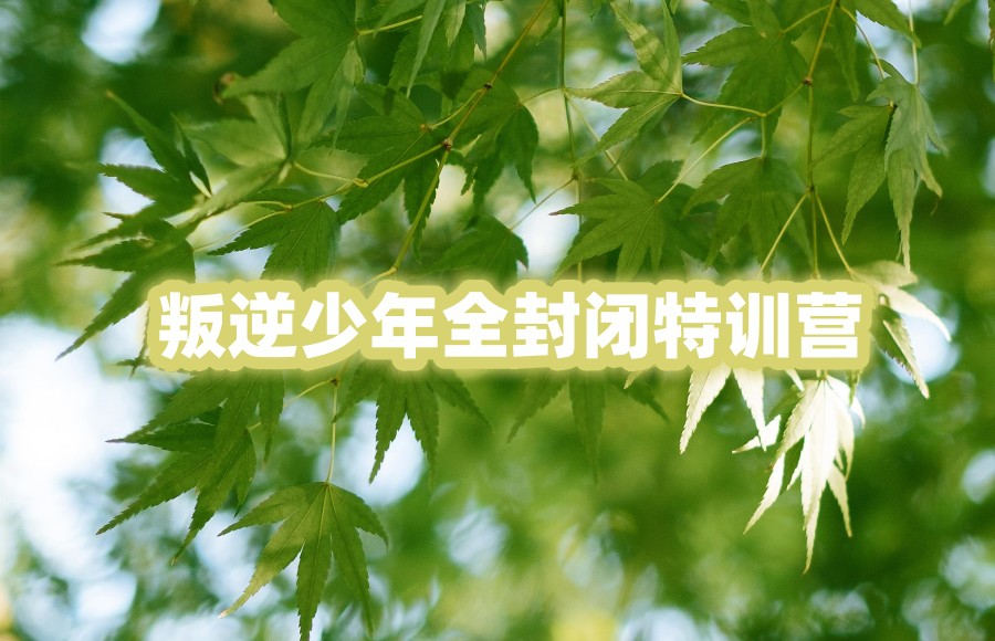 叛逆少年全封闭特训营