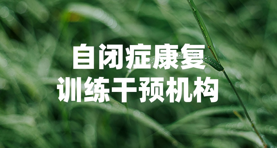国内自闭症康复训练干预机构排名好的名单
