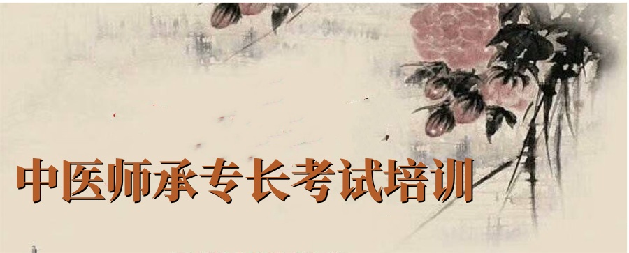 2025中医师承培训学校前十名单更新一览