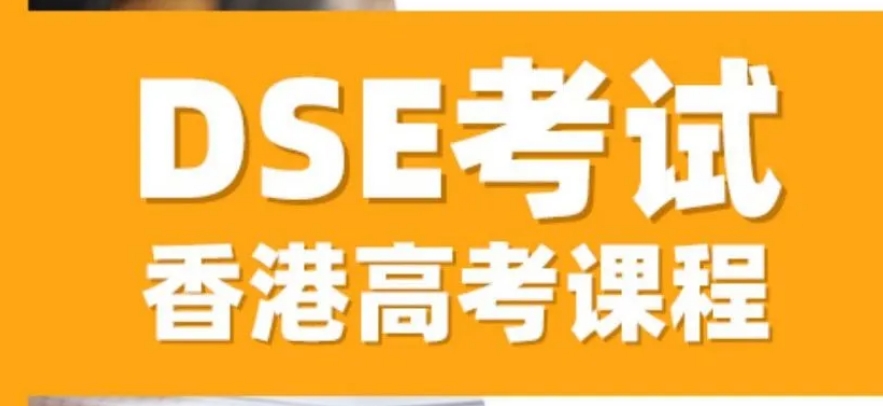 dse培训机构