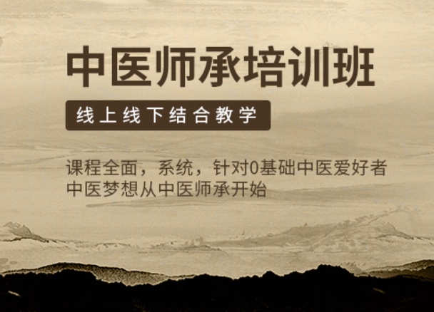 中医师承培训学校