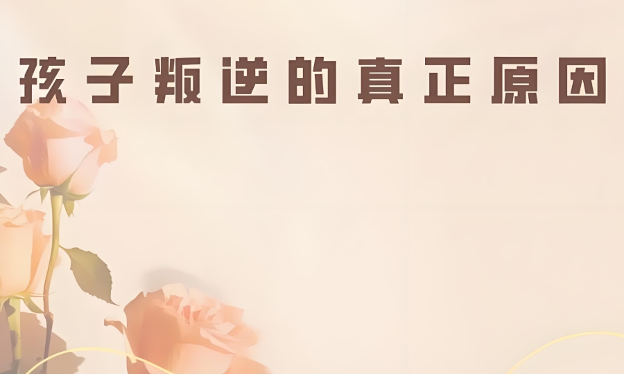 河北改造孩子叛逆期学校 河北改造孩子叛逆期学校