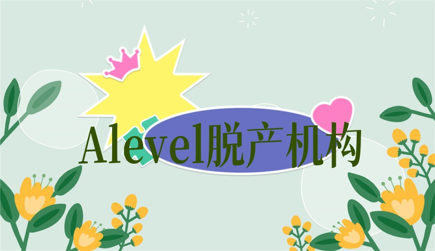 国内靠谱10大alevel国际定制课程辅导学校.jpg