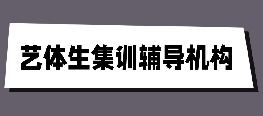 艺体生集训辅导机构