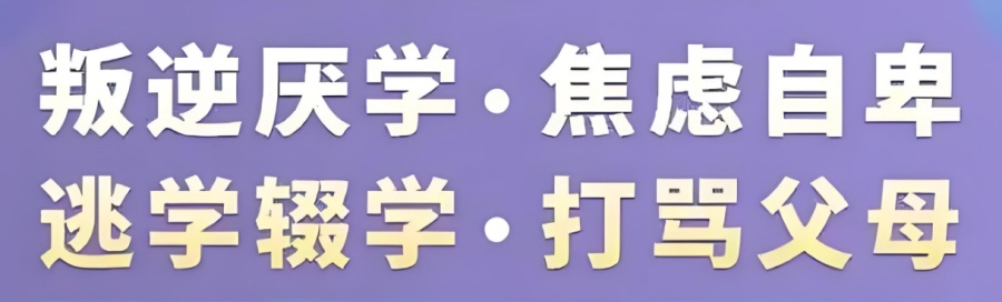 叛逆期孩子的封闭式学校