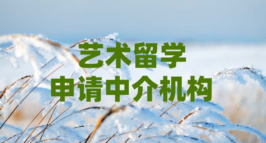 靠谱的艺术留学中介公司排行前十名及一览