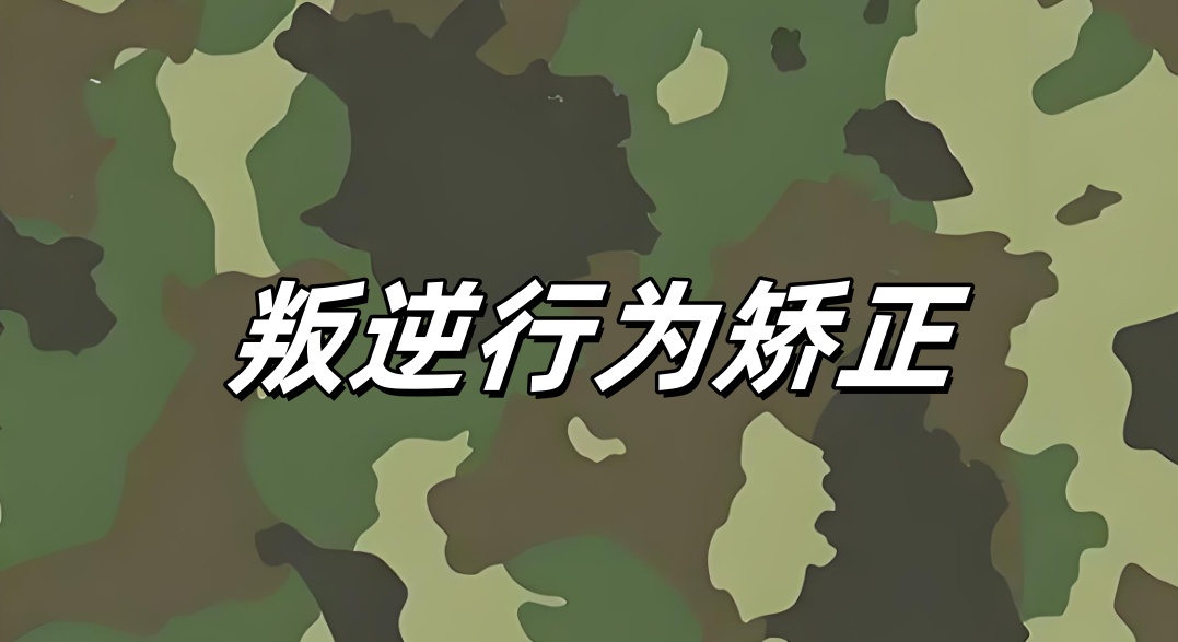 四川戒网瘾学校