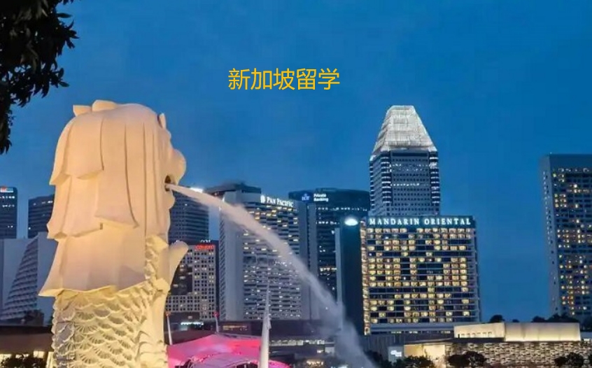新加坡留学中介机构