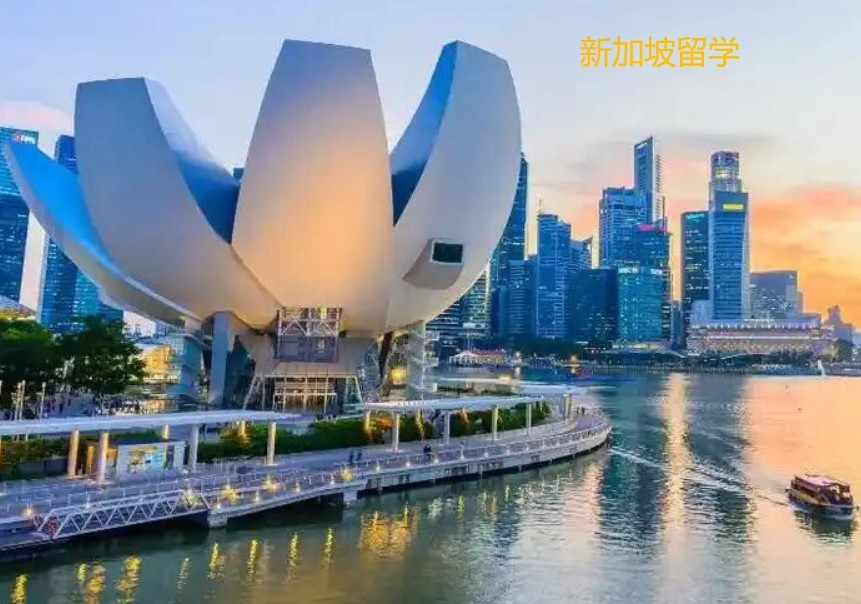 新加坡留学哪家中介机构好