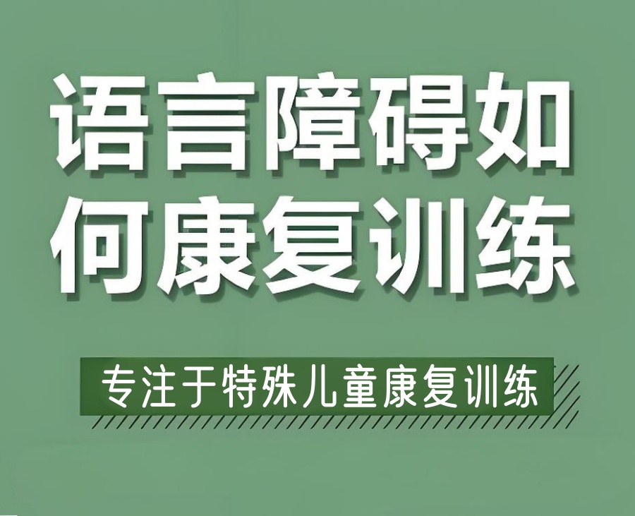 儿童语言训练康复中心 儿童语言训练康复中心