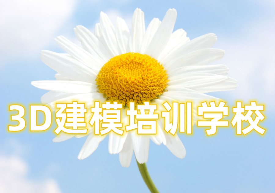 3D建模培训学校