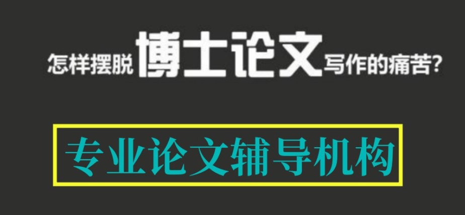 博士论文辅导