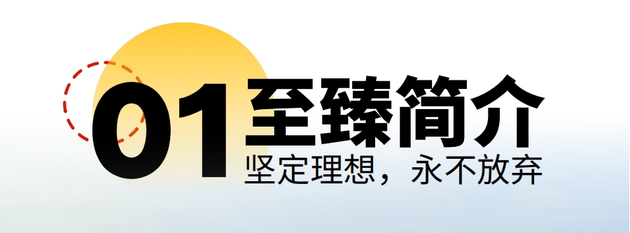 至臻高考
