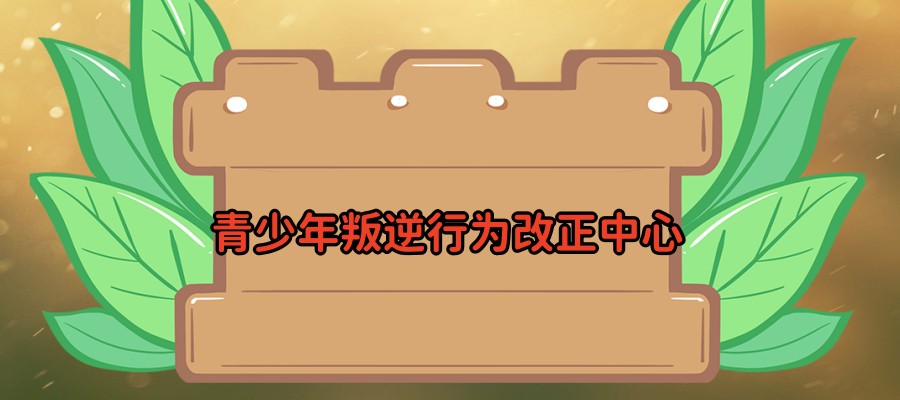 叛逆孩子特训基地