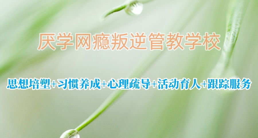 潍坊叛逆孩子管教机构排名前十(2025年参考)