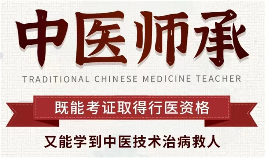 中医师承培训学校